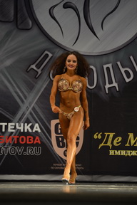 Гран-при Железные доводы - 2015