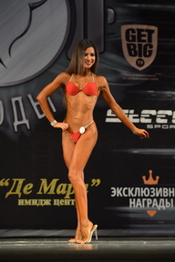 Гран-при Железные доводы - 2015