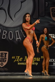 Гран-при Железные доводы - 2015
