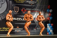 Гран-при Железные доводы - 2015