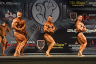 Гран-при Железные доводы - 2015