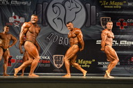 Гран-при Железные доводы - 2015