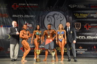 Гран-при Железные доводы - 2015