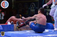 Кубок Мира по Мас-рестлингу - 2015