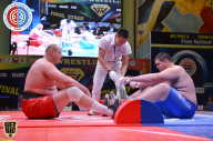 Кубок Мира по Мас-рестлингу - 2015