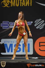 SN PRO EXPO - 2015