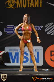 SN PRO EXPO - 2015