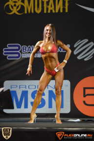 SN PRO EXPO - 2015