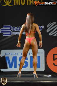 SN PRO EXPO - 2015