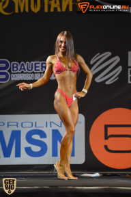 SN PRO EXPO - 2015