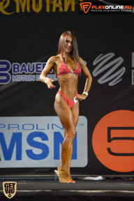 SN PRO EXPO - 2015