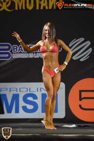 SN PRO EXPO - 2015