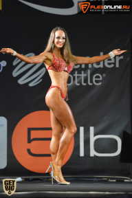 SN PRO EXPO - 2015