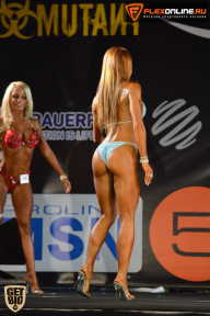 SN PRO EXPO - 2015