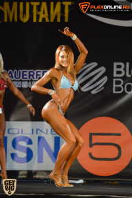 SN PRO EXPO - 2015