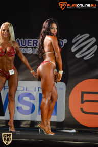 SN PRO EXPO - 2015