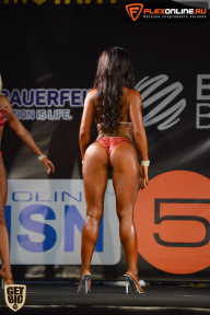 SN PRO EXPO - 2015