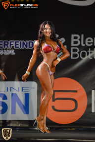 SN PRO EXPO - 2015