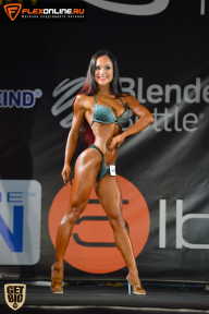 SN PRO EXPO - 2015