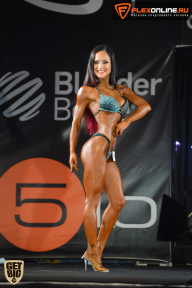 SN PRO EXPO - 2015
