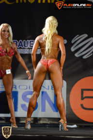 SN PRO EXPO - 2015