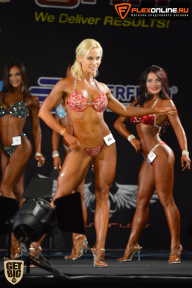 SN PRO EXPO - 2015