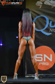 SN PRO EXPO - 2015