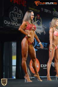 SN PRO EXPO - 2015