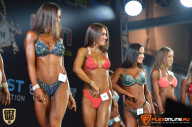 SN PRO EXPO - 2015