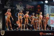 SN PRO EXPO - 2015