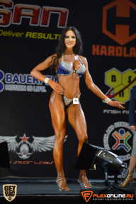 SN PRO EXPO - 2015