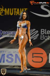 SN PRO EXPO - 2015