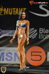 SN PRO EXPO - 2015