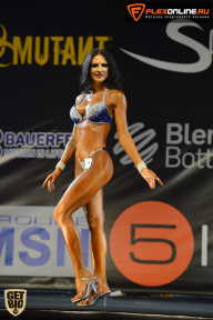 SN PRO EXPO - 2015