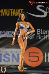 SN PRO EXPO - 2015