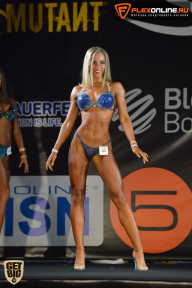 SN PRO EXPO - 2015