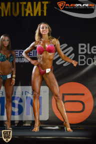 SN PRO EXPO - 2015