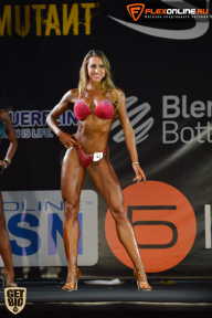SN PRO EXPO - 2015