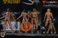 SN PRO EXPO - 2015