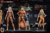 SN PRO EXPO - 2015