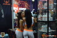 SN PRO EXPO - 2015