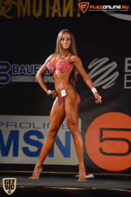 SN PRO EXPO - 2015
