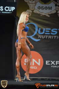 SN PRO EXPO - 2015