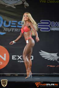 SN PRO EXPO - 2015