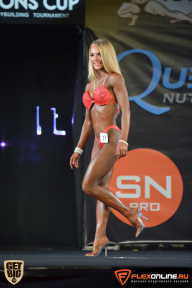 SN PRO EXPO - 2015