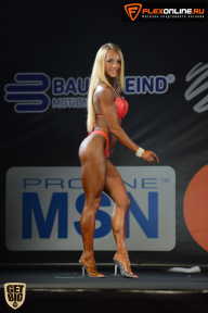 SN PRO EXPO - 2015