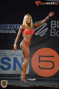 SN PRO EXPO - 2015
