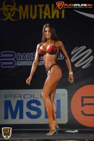 SN PRO EXPO - 2015