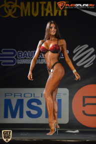SN PRO EXPO - 2015