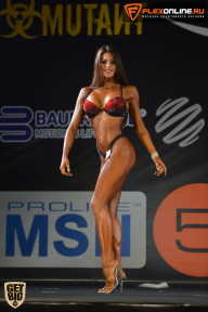 SN PRO EXPO - 2015